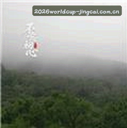 陈涛